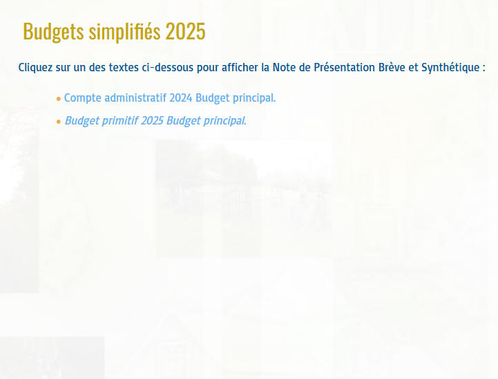 Budget-simplifie-2025