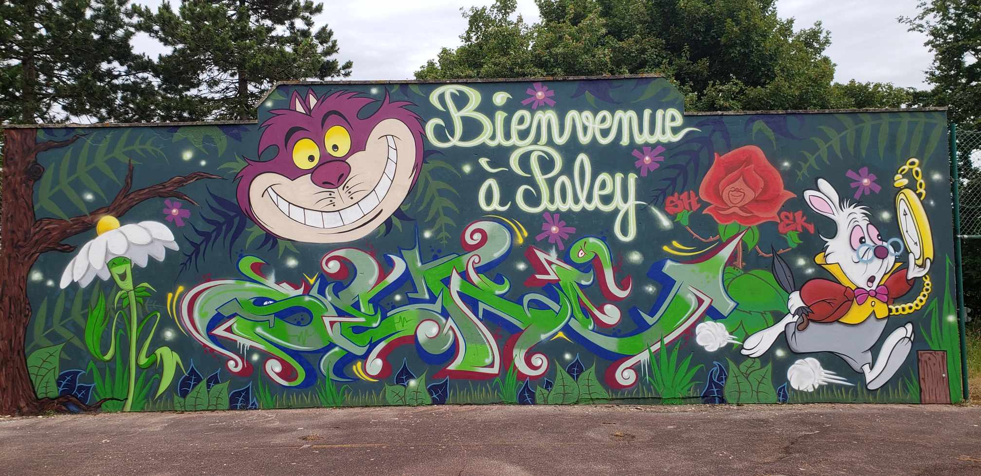 Mur terrain salle MTL